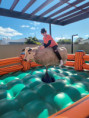 /album/touro-mecanico-rodeio-4-50m-x-5m-220v/1000322657-jpg/